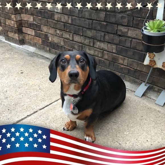 Meet your Posher, Laura - Picture 1 of 1